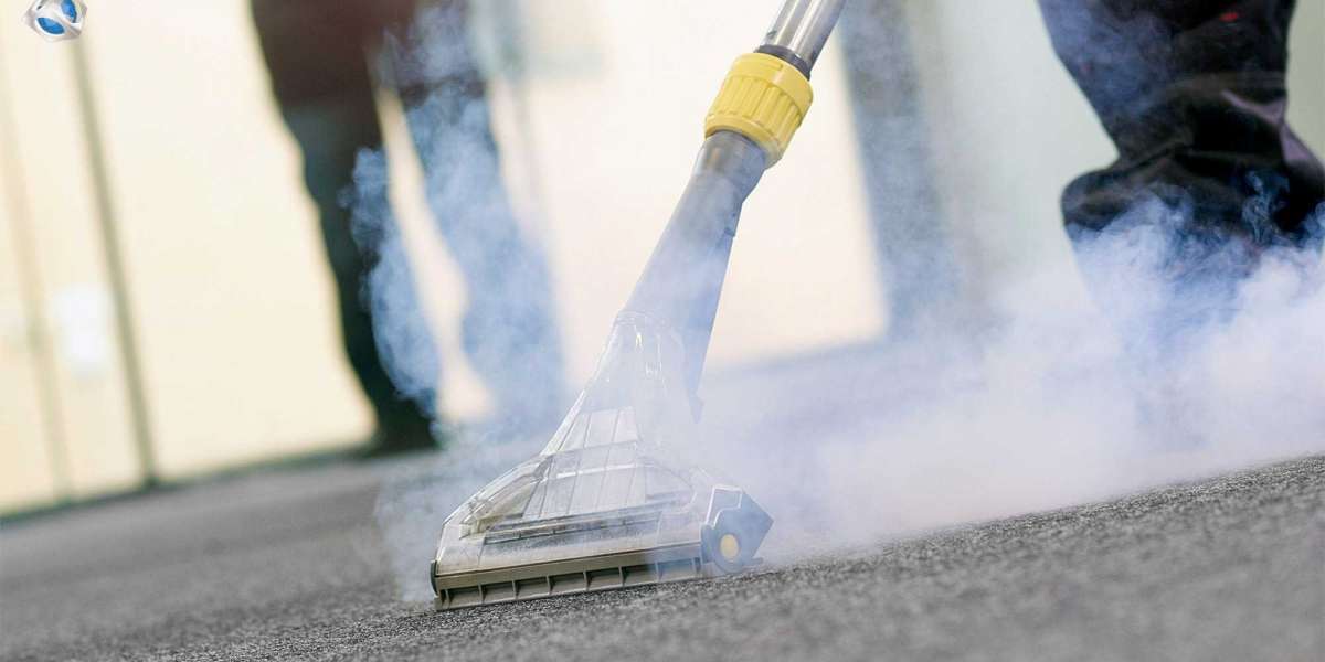 Do-It-Yourself Carpet Steam cleaning - reception