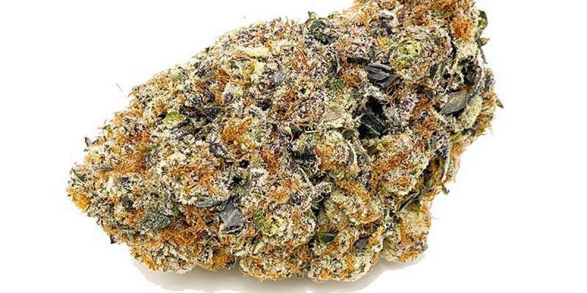 Miracle Alien Cookies Advantages and Disadvantages