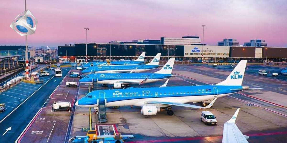 The Amount Does Extra Baggage Cost On Klm?