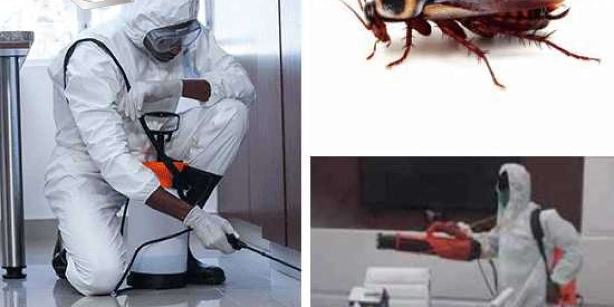 Best Cockroach control services in Mumbai