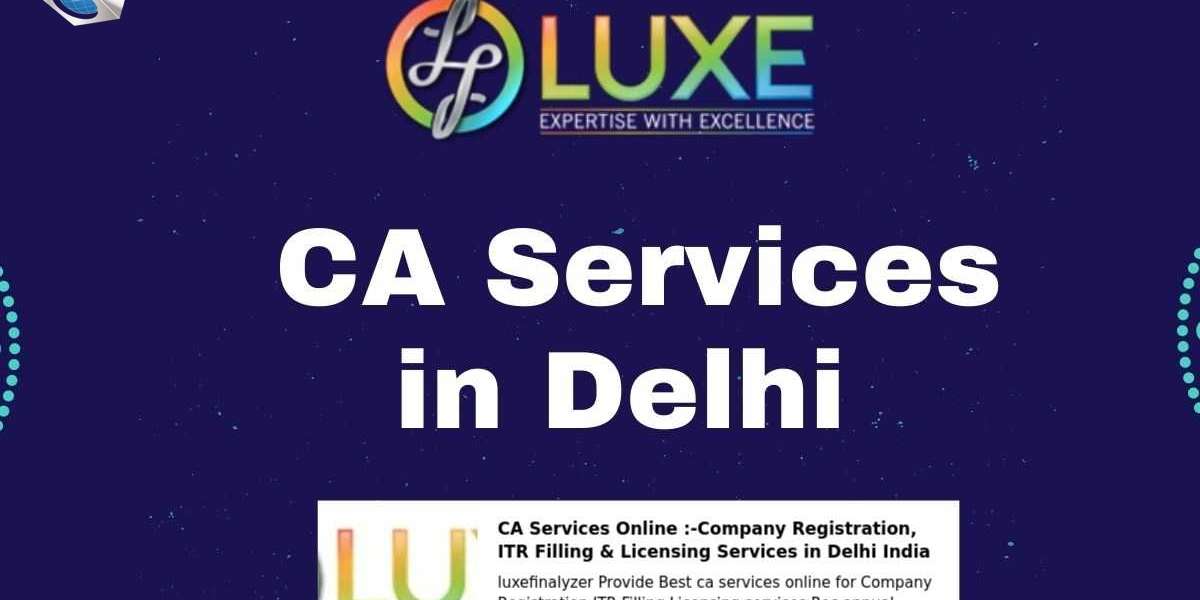 CA Services in Delhi