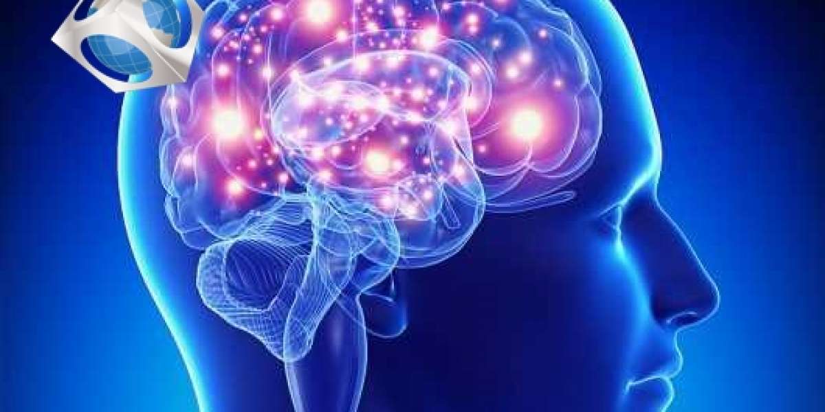 Alpha Brain IQ