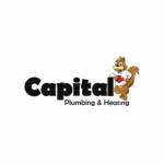 Capital Plumbing Profile Picture