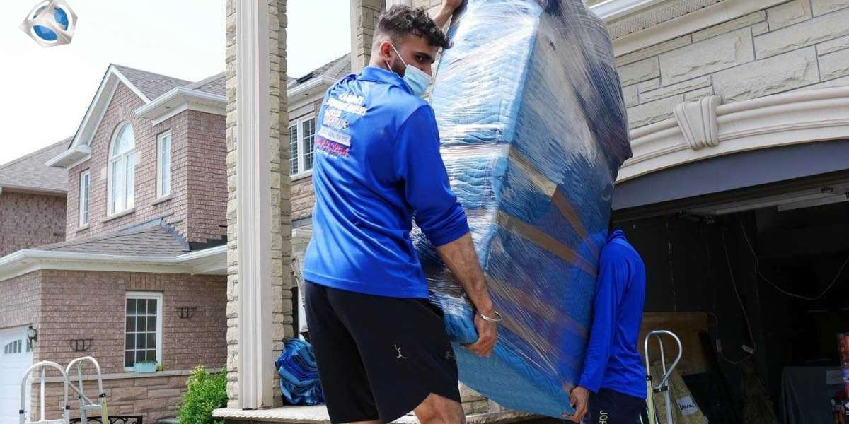 Reasons Why You Need Professional Movers to Relocate Your Office