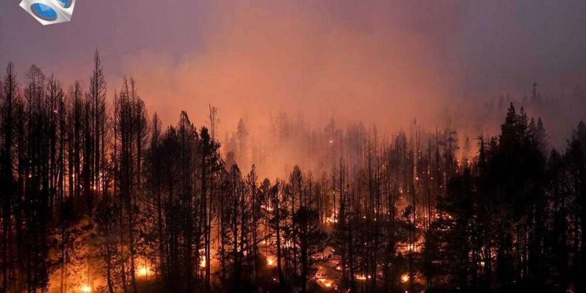 US plans wildfire fight where forests, neighborhoods collide