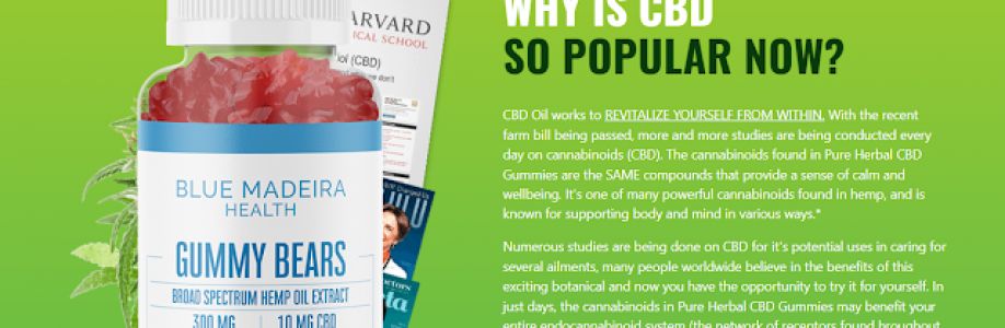 What are Side Effects Blue Madeira CBD Gummies? Cover Image