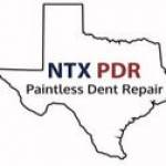 North Texas Paintless Dent Repair profile picture