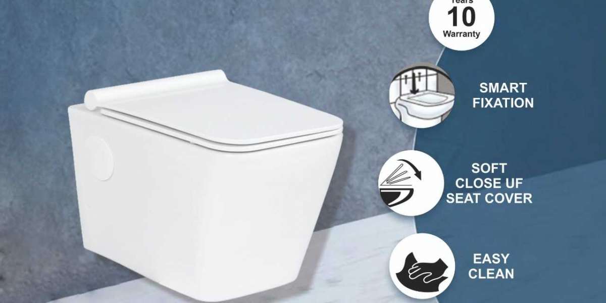What is the importance of having a toilet in your home?