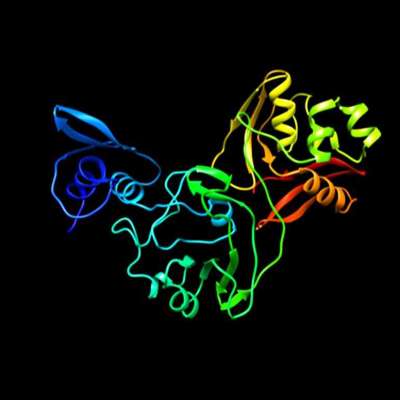 Histone Acetylation Proteins Profile Picture