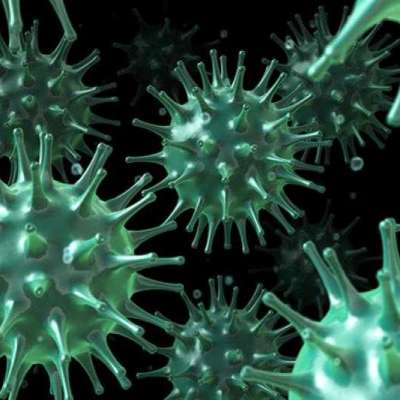 Reovirus Antibody Profile Picture