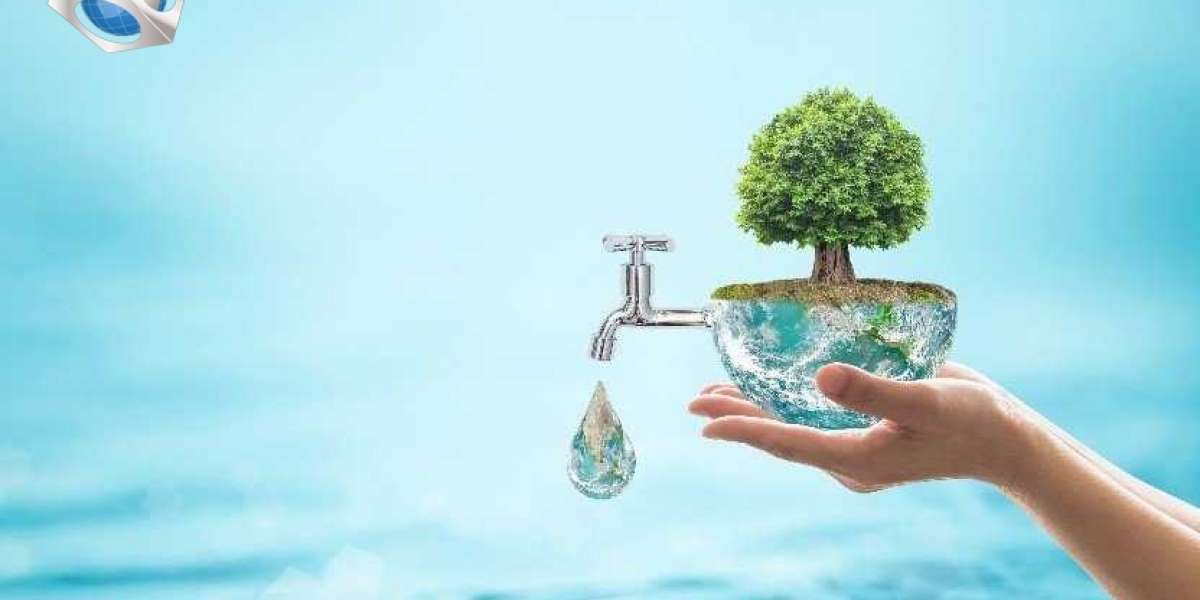 What are the ways we can work towards the conservation of water in these times