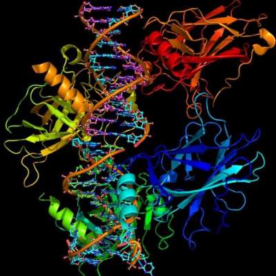 protein quantitative analysis Profile Picture