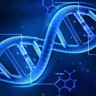 microbial genome sequencing Profile Picture