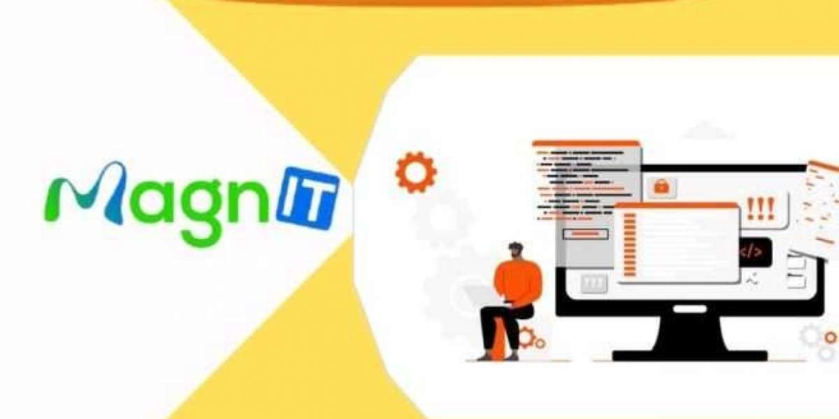 Custom Website & Mobile App development Company | Magnit