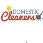 Domestic Cleaners London Profile Picture