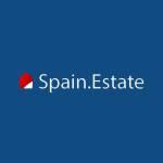 Spain Real Estate Profile Picture