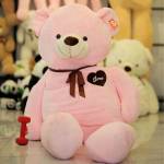 Teddy Bear Profile Picture