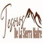 Tesoros De La Sierra Madre Profile Picture
