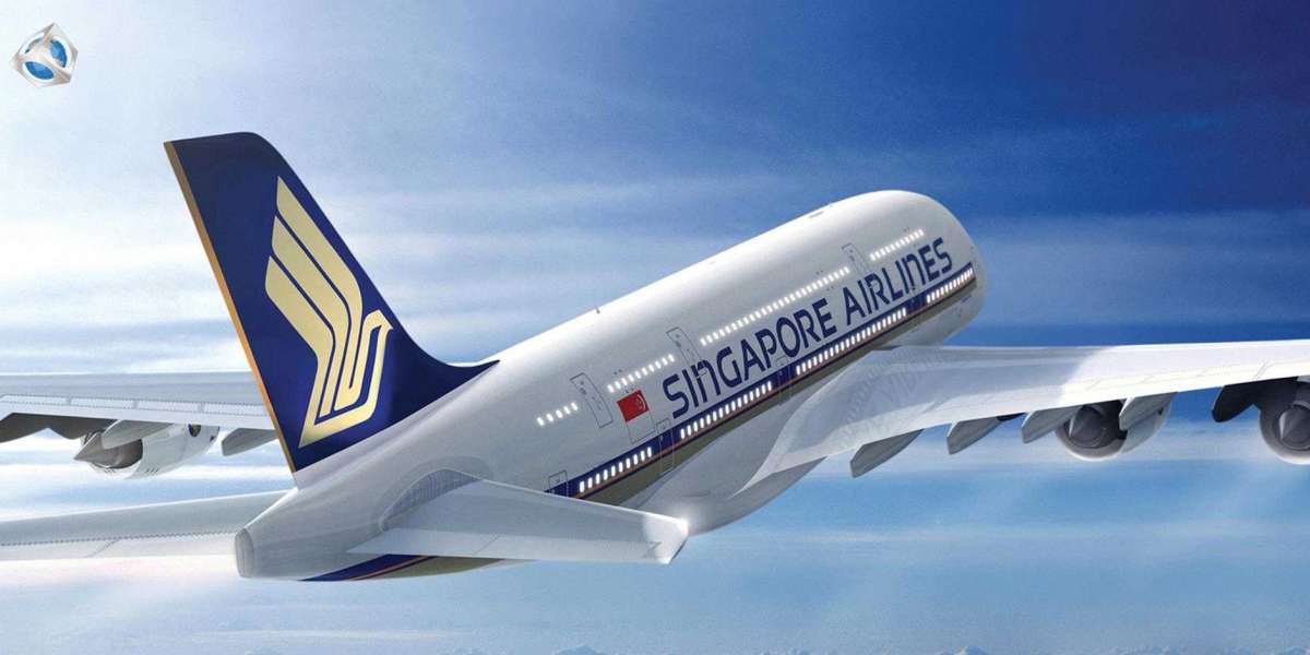 Checking In With Singapore Airlines: All You Need to Know