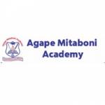 Agape Mitaboni Academy Profile Picture
