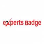 Experts Badge Profile Picture