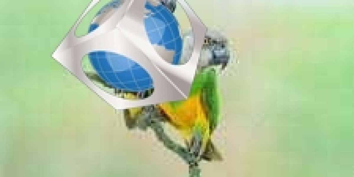 Senegal Parrot
