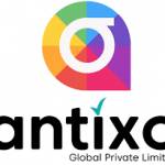 Antixo Global Private Limited profile picture