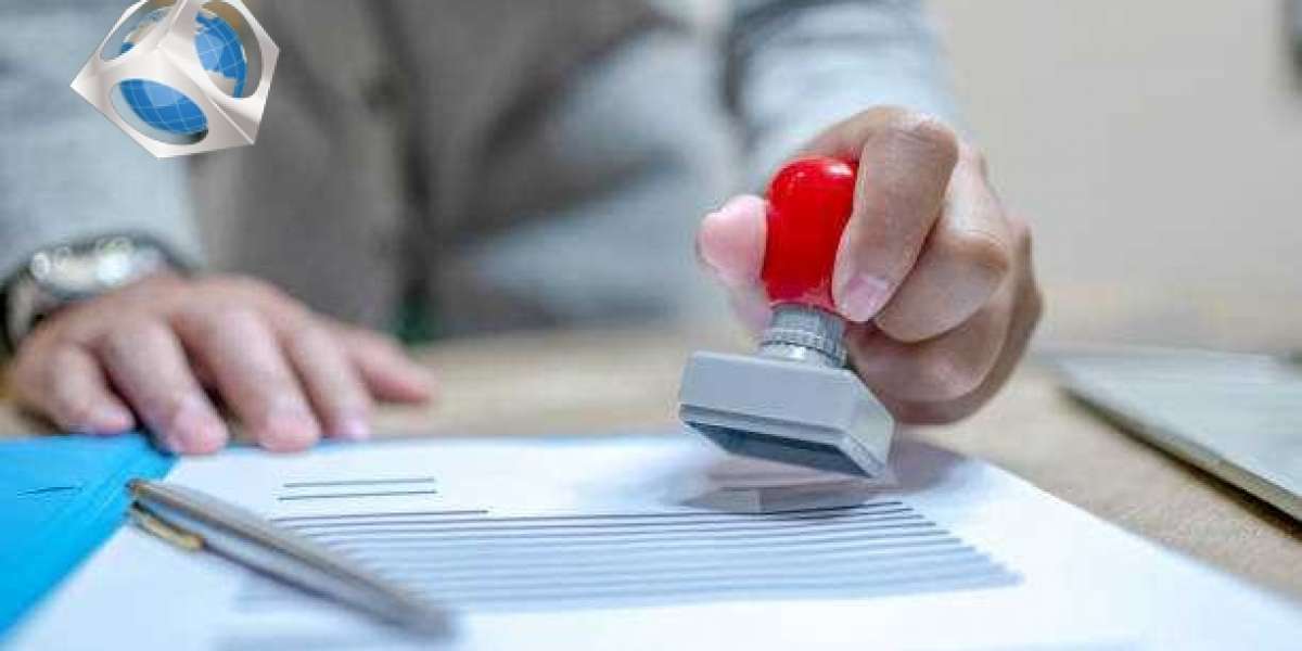 Best Study Visa Consultants