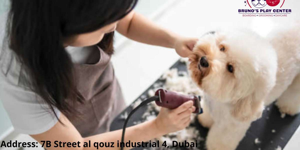Best dog grooming center in Dubai
