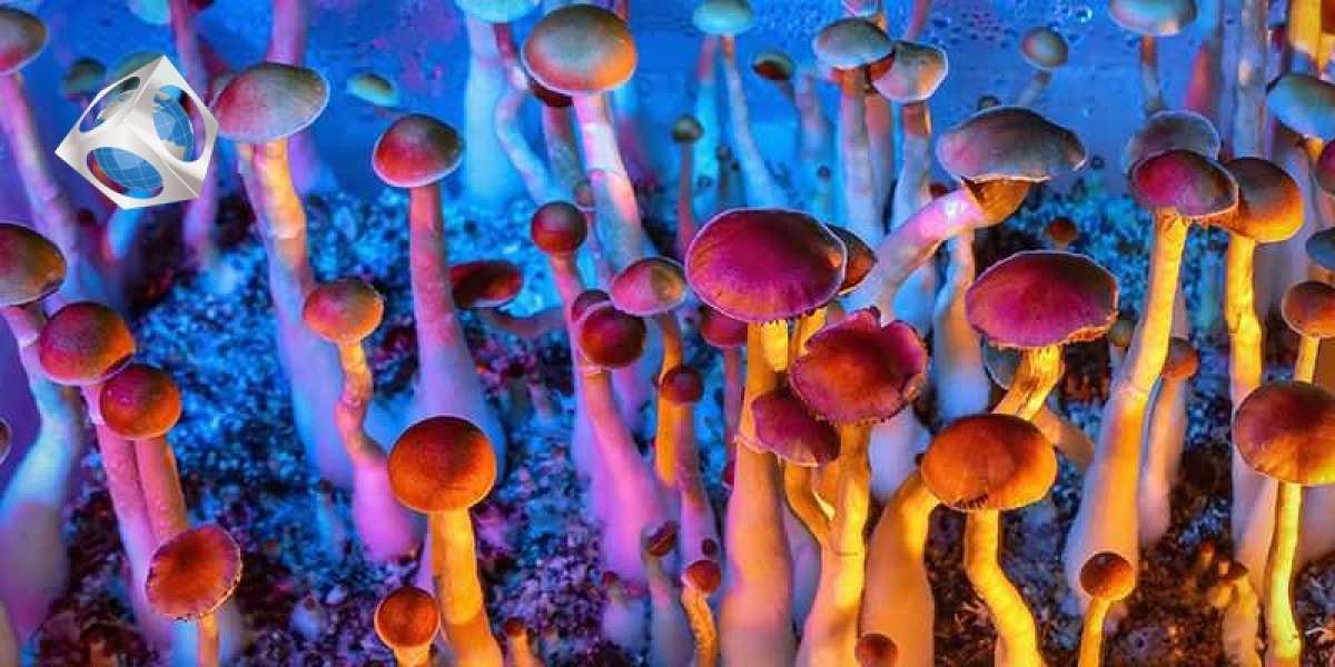 8 Things To Demystify Buy Shrooms Canada