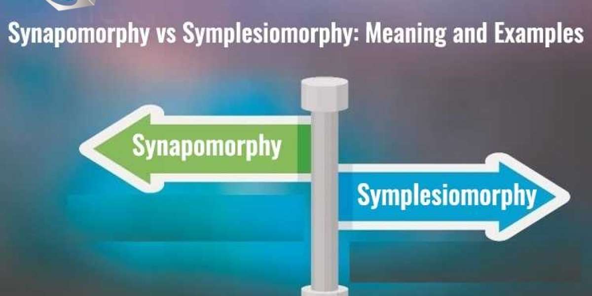 What Is Symplesiomorphy and Its Aspects