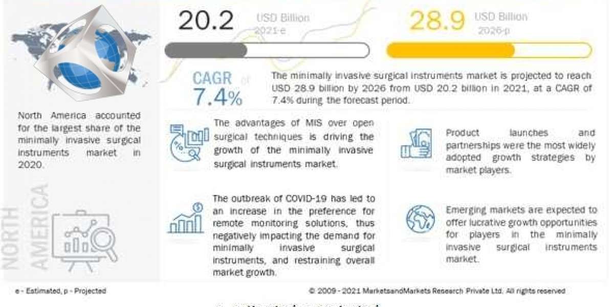 MIS Instruments Market Top Segments, Opportunities and Regional Trends - Forecast 2026