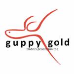 Guppy Gold India Profile Picture