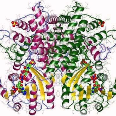 enzyme res Profile Picture