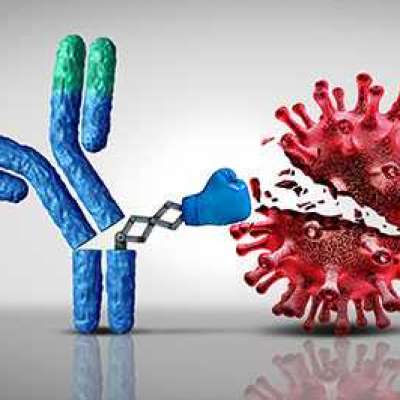 Small molecule PROTACs Profile Picture