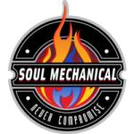 Soul Mechanical Ltd profile picture