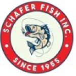 Schafer Fish Profile Picture