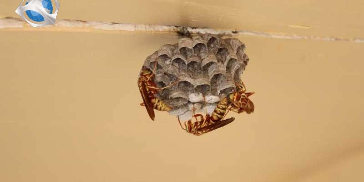 What Issues are Faced by Bakeries, Restaurants, and Food Manufacturers with Regards to Pest Control in London?