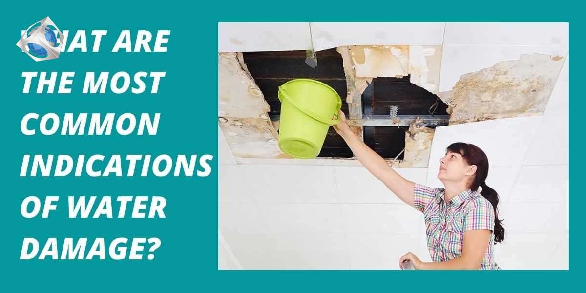 What Are The Most Common Indications Of Water Damage?