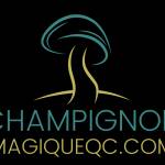 Champignon Magique Profile Picture