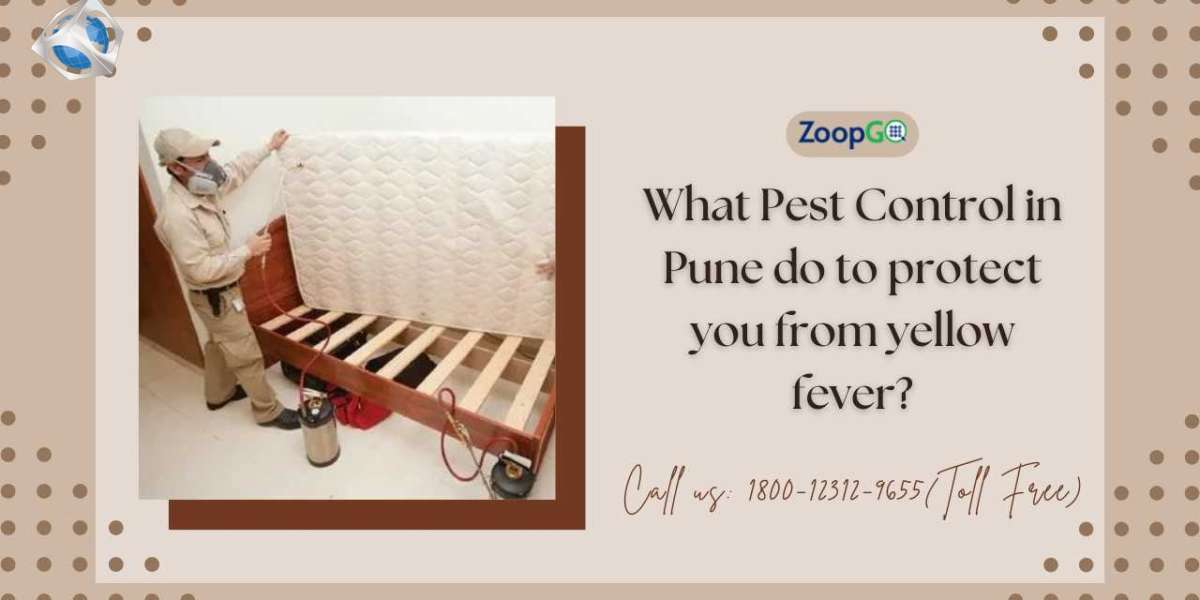 What Pest Control in Pune do to protect you from yellow fever?