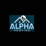 Alpha Roof Repairs & Restoration Canberra Profile Picture