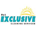 blexclusive cleaning profile picture