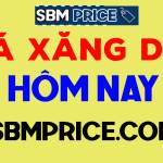 Giá xăng hôm nay SBMPrice profile picture