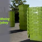 Hire Moving Boxes Profile Picture