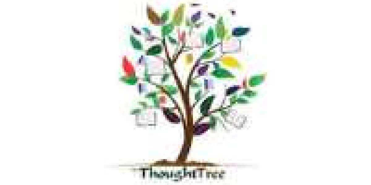 The Thought Tree Best RAS Coaching in Jaipur, Rajasthan