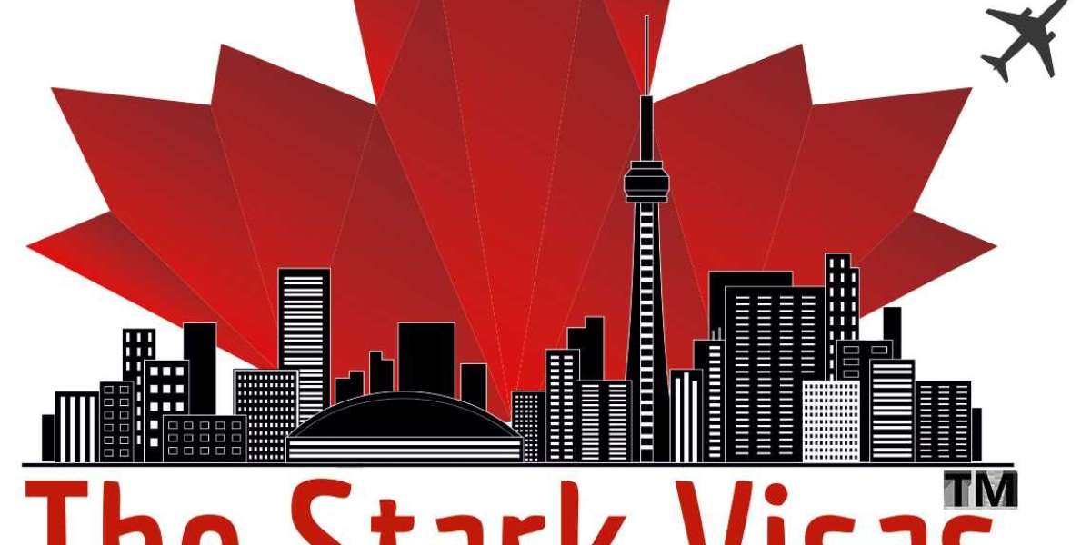 Stark Visas : Best Immigration Consultant in India