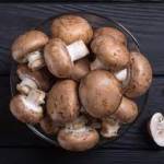 getmagic mushrooms Profile Picture
