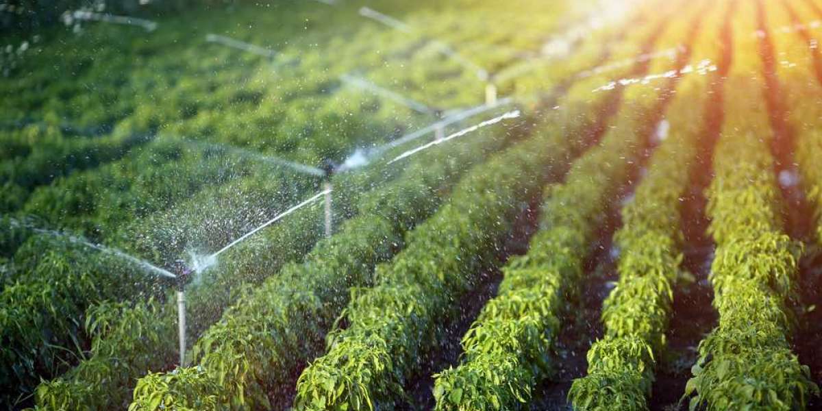 How To Choose The Best Irrigation Company in Riyadh?