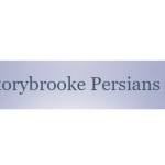 Storybrooke Persians Profile Picture